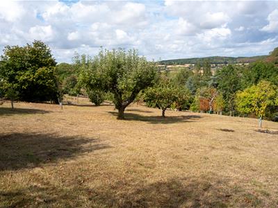 Picture 24